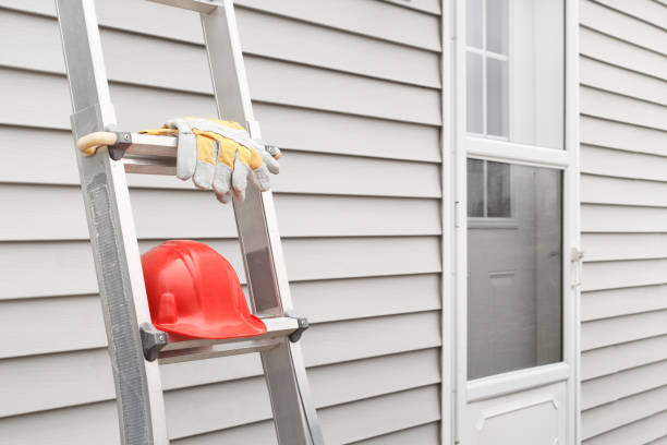 Best Shed Removal  in Dry Ridge, KY